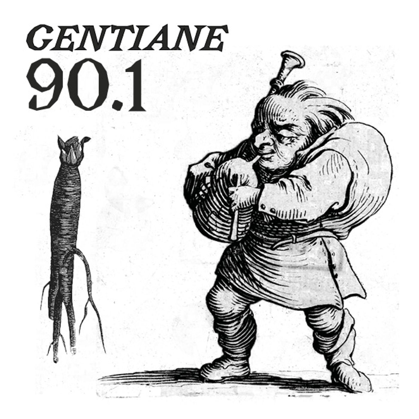 Gentiane