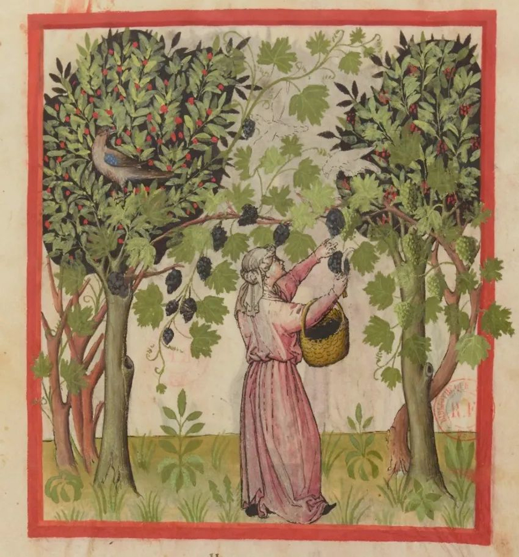 Description de l'image