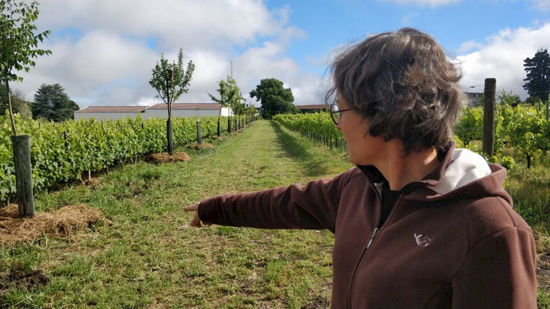 Description de l'image