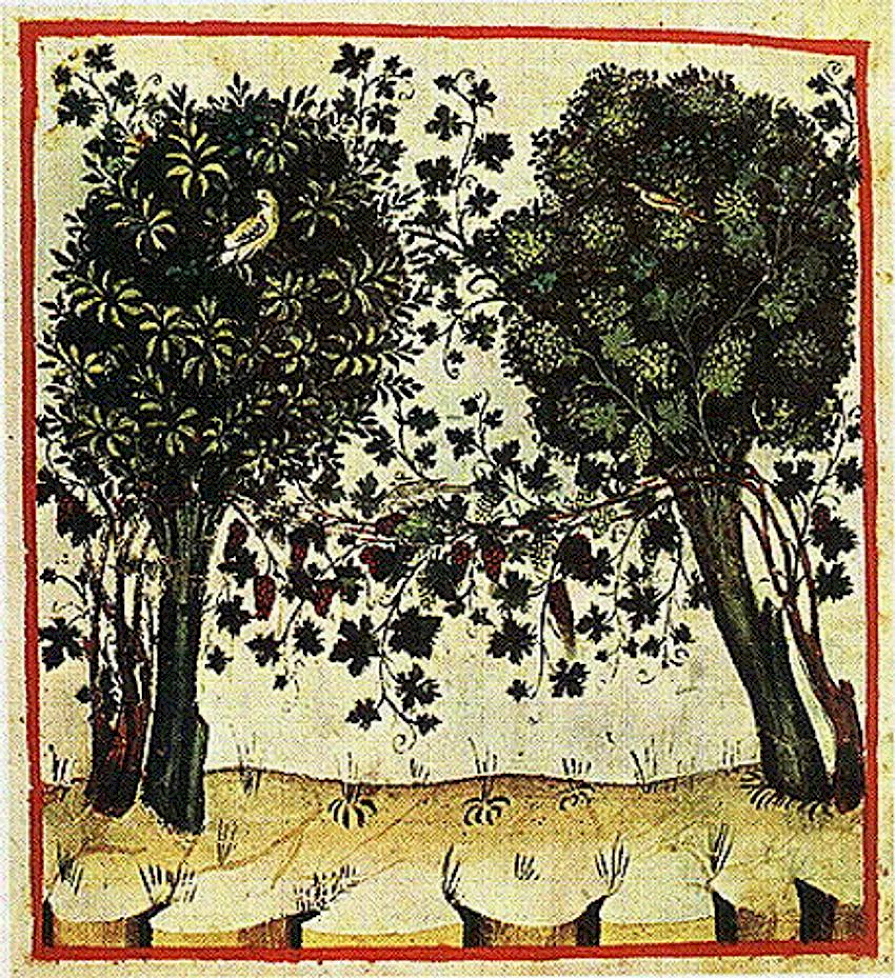 Description de l'image