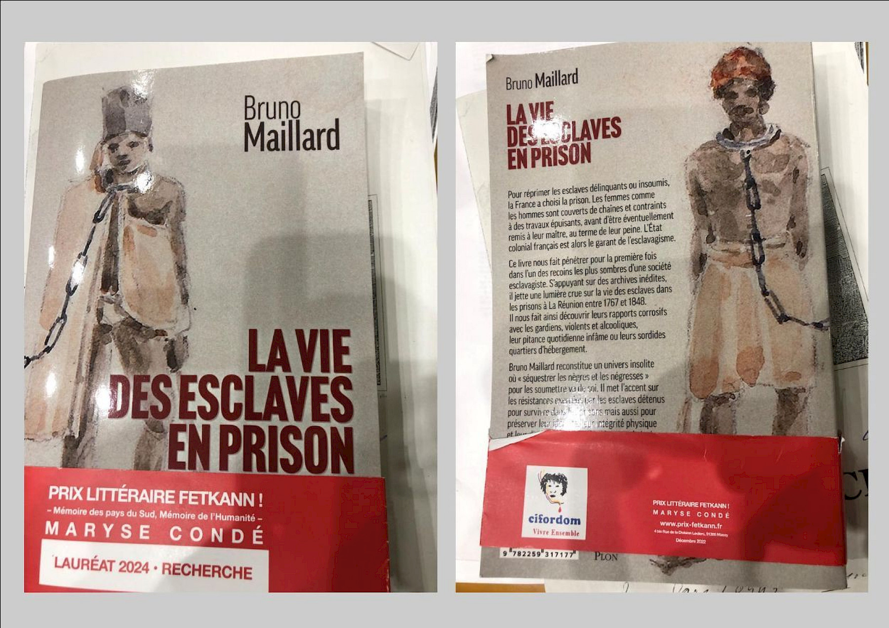 Description de l'image